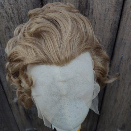 Lestat cosplay wig top view